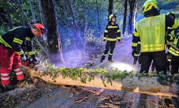Umgestürzter Baum sorgte für Feuerwehreinsatz in Bad Goisern