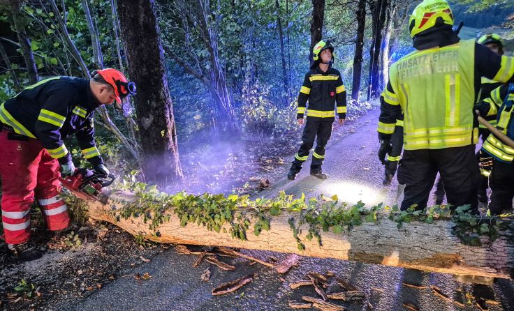 Foto: FF Bad Goisern