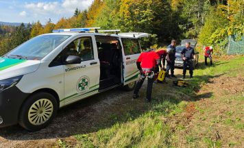 Paragleiter verfängt sich am Hochficht in 25 Meter hoher Fichte