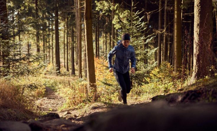 Trailrunning im Mühlviertel (Foto: TVB Mühlviertel/ Lichtlinien)