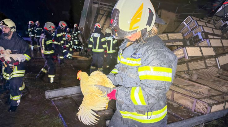 Lkw-Anhänger mit 700 lebenden Hühnern in St. Lorenz umgekippt