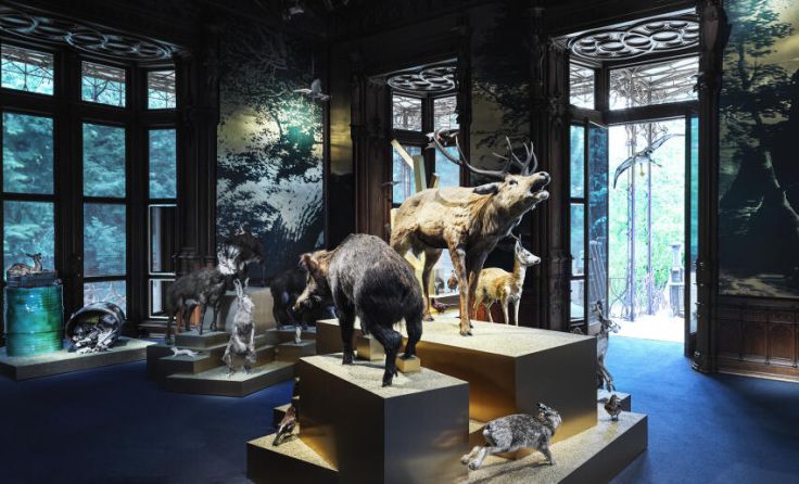 Die Ausstellung beschäftigt sich mit der Jagd im Salzkammergut. (Foto: Sandro E. E. Zanzinger)
