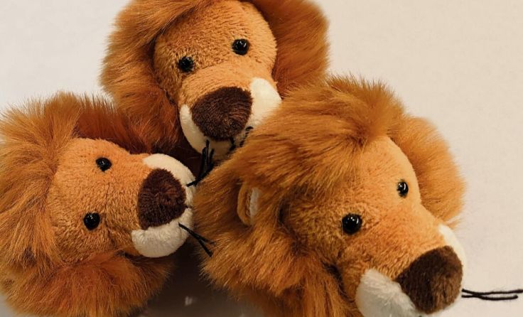 Der böse Löwe Scar soll in die Flucht geschlagen werden. (Foto: Lions Club/Schodterer)