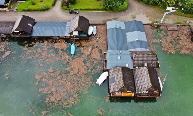 Der Wind treibt das Schwemmholz in die Buchten am Traunsee. (Foto: Hörmandinger)