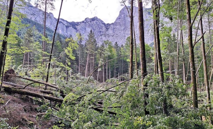 Durch die Unwetter letzte Nacht sind nun zahlreiche Wege in Ebensee gesperrt. (Foto: ÖBf)