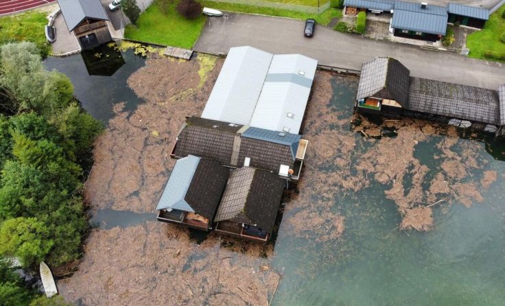 Nach Starkregenereignissen kämpft Ebensee mit Schwemmholz im Traunsee. (Foto: Hörmandinger)