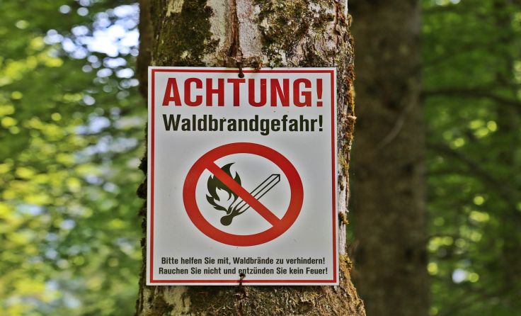 Waldböden werden trocken Foto: Hörmandinger