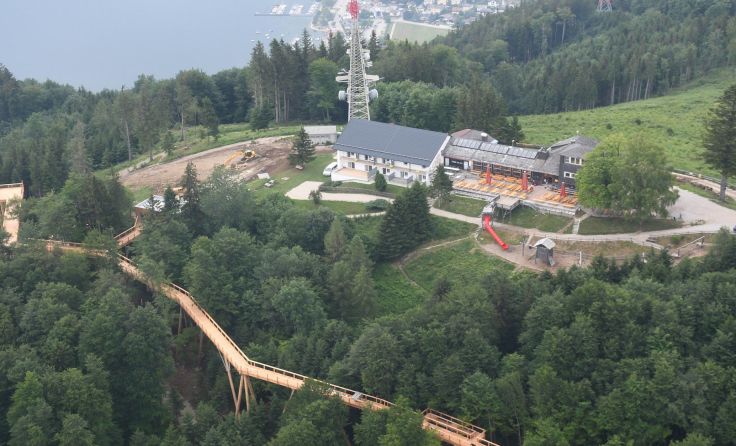 Baumwipfelweg am Grünberg biegt in die ZielgeradeFoto: Stadtamt Gmunden