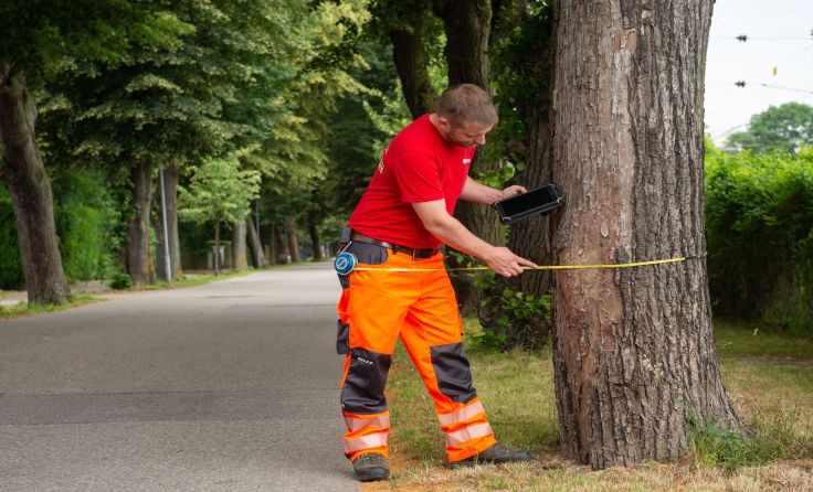 High-Tech Baumbegutachtung für sichere Straßen Foto: ÖBf/W.Voglgruber