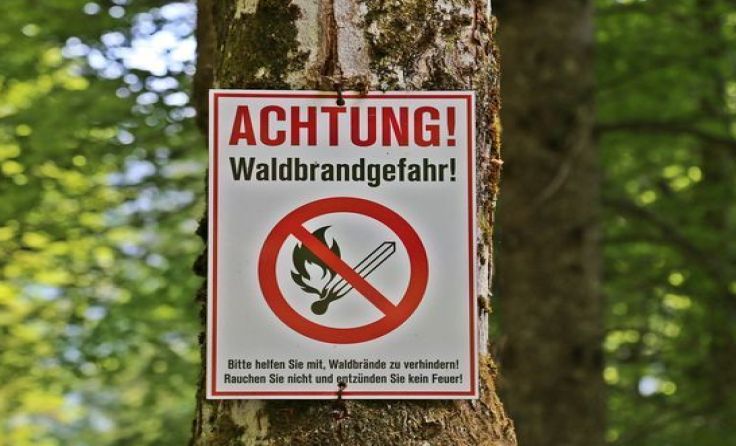Ab sofort gilt Waldbrandschutz-Verordnung Foto: Hörmandinger