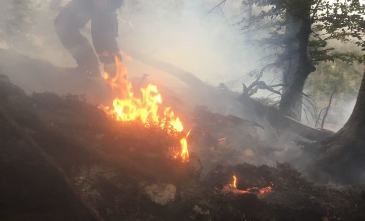 Feuerwehren sind bemüht den Waldbrand zu löschen. Foto: FF Bad Ischl