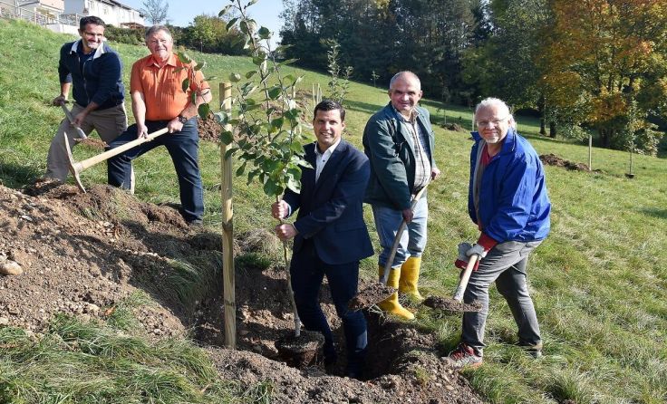 Gesamt 18 Obstbäume wurde angepflanzt. Foto: Stadtgemeinde Gmunden