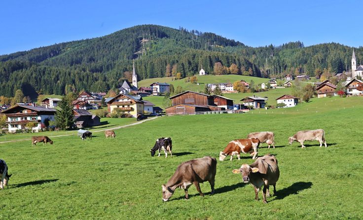Die idyllische Gemeinde Gosau im Salzkammergut.Foto: Hörmandinger