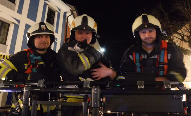 Feuerwehrmänner retteten vermissten Kater. Foto: Feuerwehr Bad Ischl