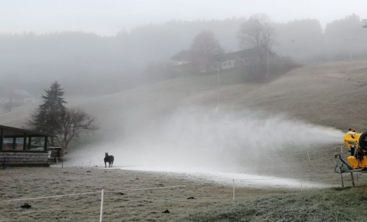 Auch ein Pferd freut sich über den ersten Schnee. Fotos: OÖ Seilbahnholding