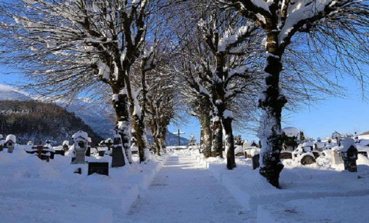 Ein Rundgang startet am 23. Februar um 14 Uhr beim Eingang. Foto: www.fotohofer.at