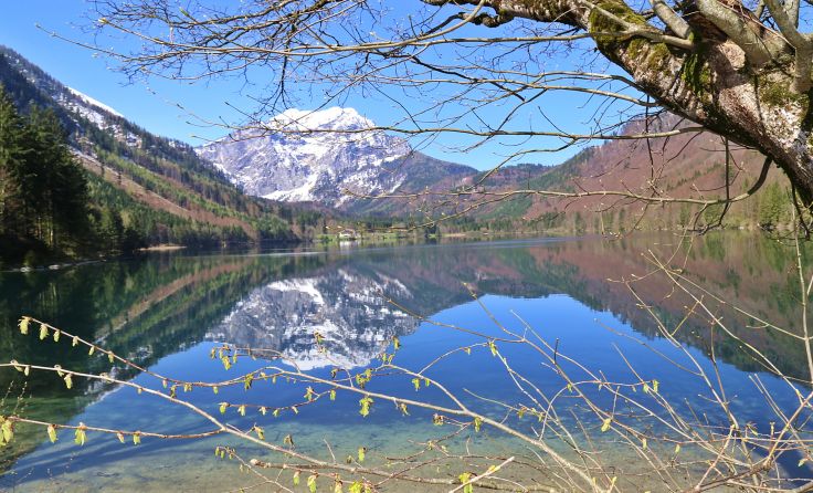 Grundstück am Langbathsee soll wieder Allgemeingut werden. Fotos: Hörmandinger