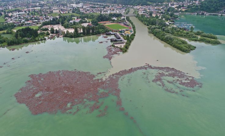 Fußballfeldgroßer Schwemmholz-Teppich treibt vor Traunmündung. Foto: Hörmandinger