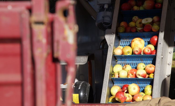 Mobile Obstpresse kommt in den Naturpark Attersee-Traunsee. Foto: Horvath