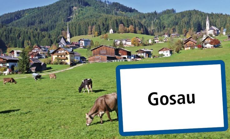 Tips Leseraktion. Foto: Tips