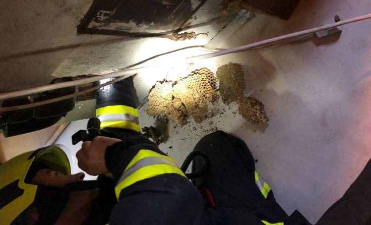 Feuerwehr bekämpft brennendes Hornissennest in Kamin. Foto: ff-badischl.at