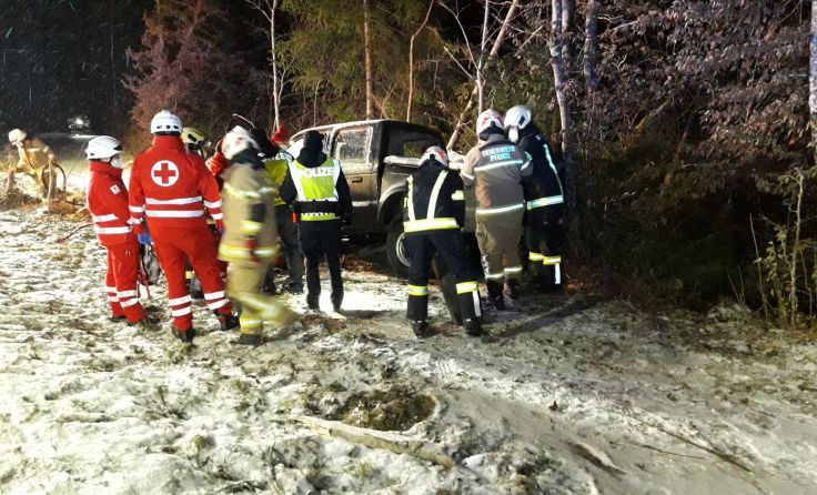 Auto prallte seitlich gegen einen Baum. Foto: ff-badischl.at