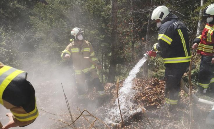  (Foto: ff-badischl.at)