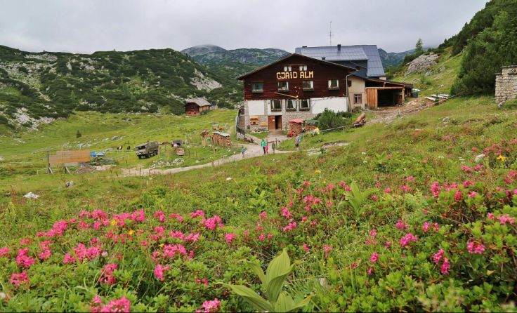 Gjaidalm (Foto: Hörmandinger)