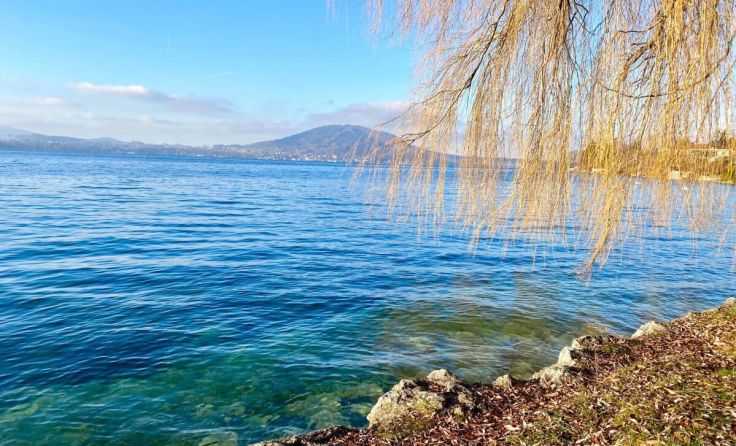 Blick über den Attersee (Foto: Tom Leitner)