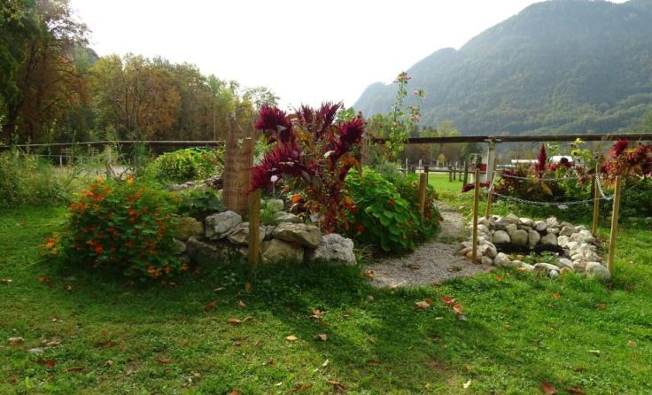  (Foto: F. Pfarrhofer)