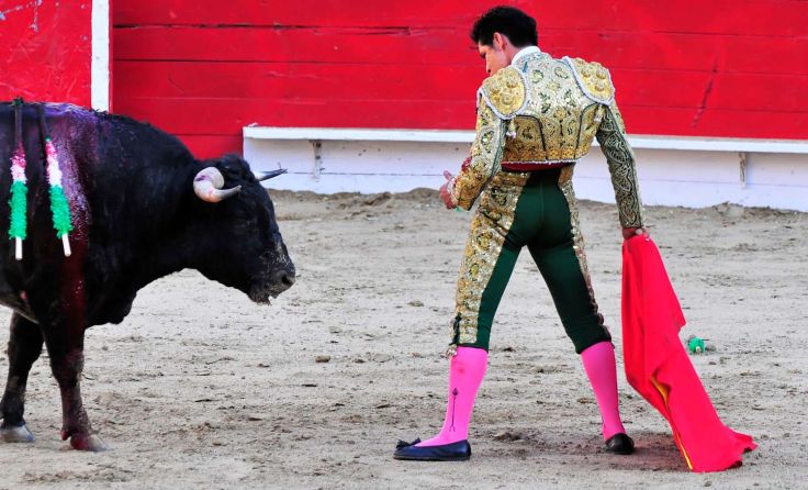 (Foto: Stock.adobe.com/Clarence Alford)