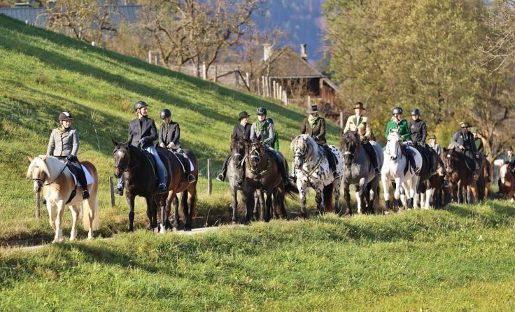 Leonhardiritt in Bad Ischl (Foto: Hörmandinger)