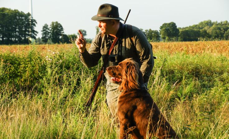 Jagd erlebt Aufschwung (Foto: stock.adobe.com/Countrypixel)