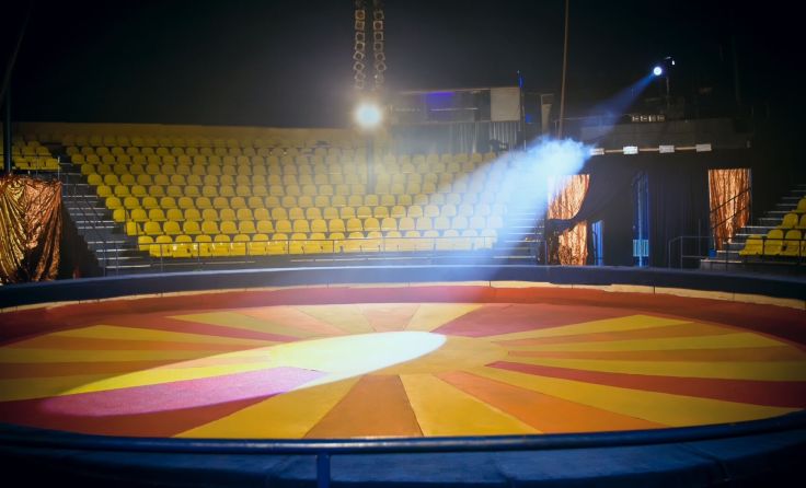 Manege im Zirkus (Foto:adobe.stock/Tatiana Belova)