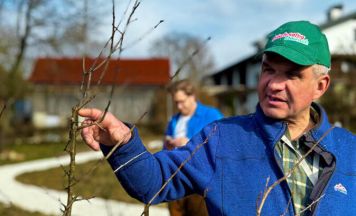 Obstbaumschnitt-Kurse bringen gesunde Bäume und volle Ernte