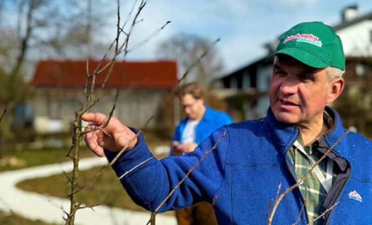 Richtiger Obstbaumschnitt will gelernt sein (Foto: WY Praxis)