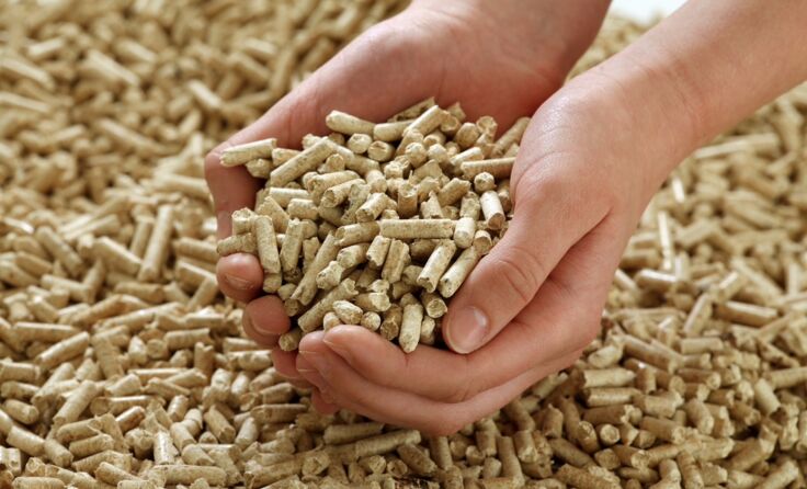 Pellets sind besonders Klimafreundlich (Foto: Jörg Lantelme/adobe.stock)