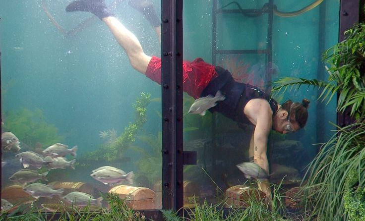 Gil Ofarim in der Dschungelprüfung "Dschungel-Argh!Quarium" (Foto: RTL)