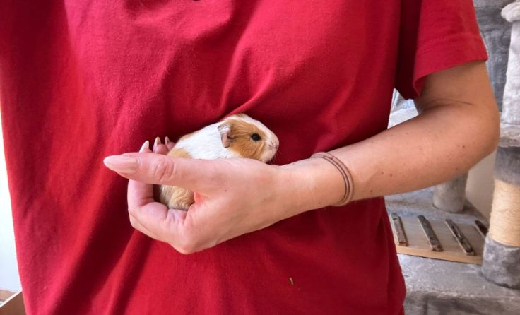 Baby-Alarm auf Gut Aiderbichl (Foto: Gut Aiderbichl)