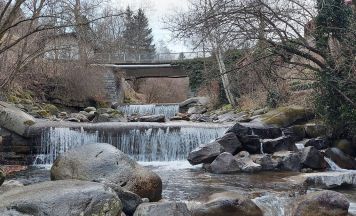 WWF renaturiert Flussjuwel: 57 Kilometer Radlbach und Lieser wieder frei