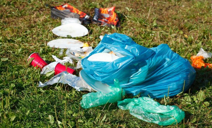 Müll wird vielerorts einfach in der Natur entsorgt (Foto: detailfoto/adobe.stock)