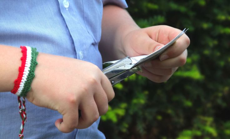 Zugbegleiter entwertet Fahrkarte (Foto: farbkombinat/adobe.stock)