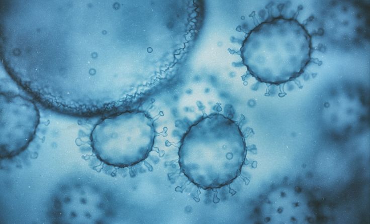 West Nil Virus breitet sich aus (Foto: ktsdesign/adobe.stock)