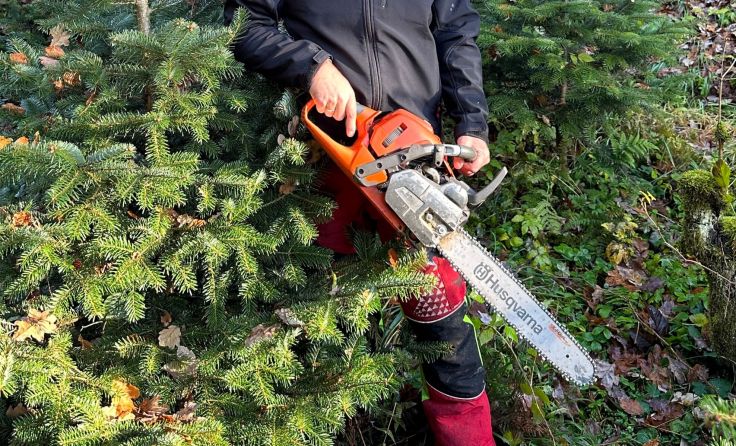 Forstarbeiter von Baum erschlagen (Foto: Tom Leitner)