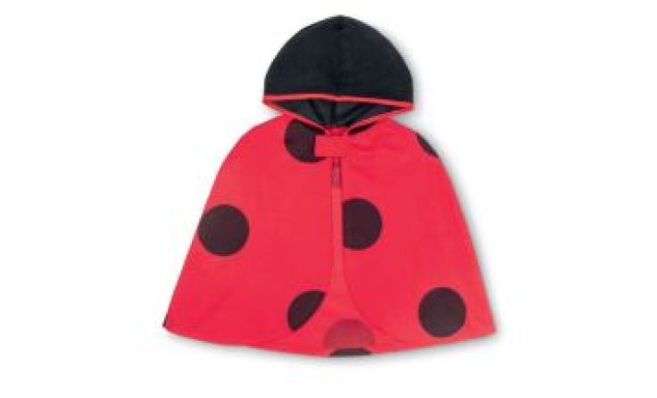 Marienkäfer-Kostüm wird zurückgerufen (Foto: Hofer)