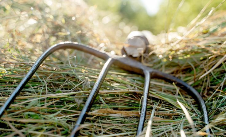Junge Landwirt bei Heuarbeiten verunglückt (Foto: I/adobe.stock)