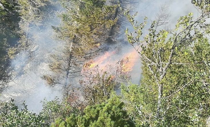 Schutz vor Waldbränden (Foto: BFKDO Vöcklabruck)