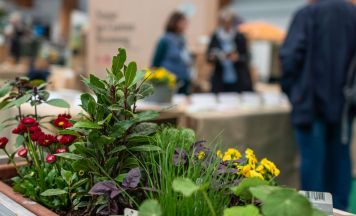 Natur im Garten: Tiroler Frühjahrsmesse zeigt, wie Balkon und Garten zur grünen Oase werden