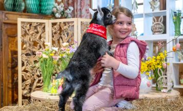 Gut Aiderbichl: Frühlingserwachen mit Tieren, Ostereiersuche und Tradition in Henndorf