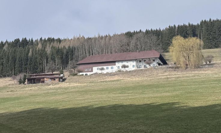 So sieht der Hof derzeit aus (Foto: Klaus Tulipan/Projekt Rathberg 9)